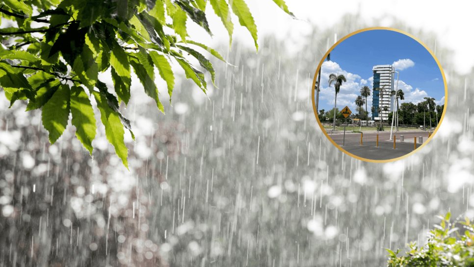 Clima en Los Mochis este viernes, 27 de junio: Se esperan chubascos y altas temperaturas Clima en Los Mochis este viernes, 27 de junio: Se esperan chubascos y altas temperaturas