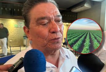 “No habrá agua para riego de hortalizas en el norte de Sinaloa hasta octubre”: Conagua