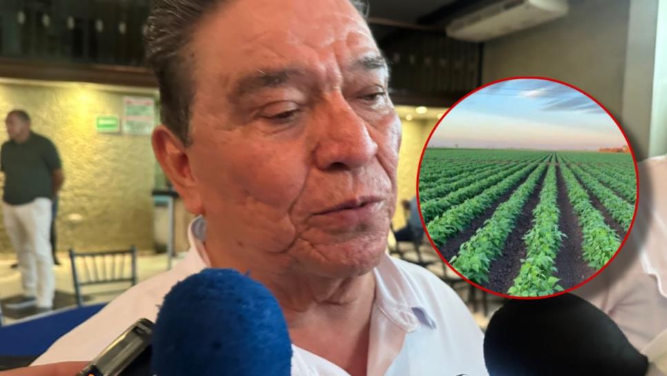 "No habrá agua para riego de hortalizas en el norte de Sinaloa hasta octubre": Conagua