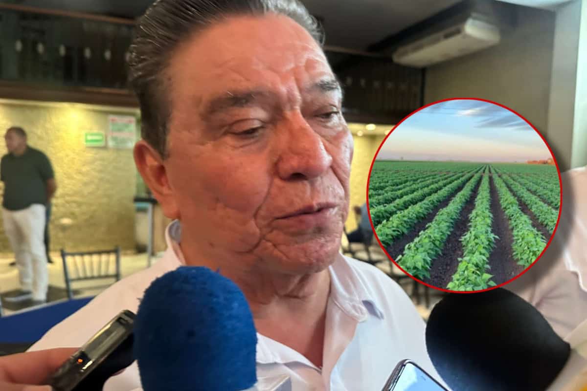 “No habrá agua para riego de hortalizas en el norte de Sinaloa hasta octubre”: Conagua