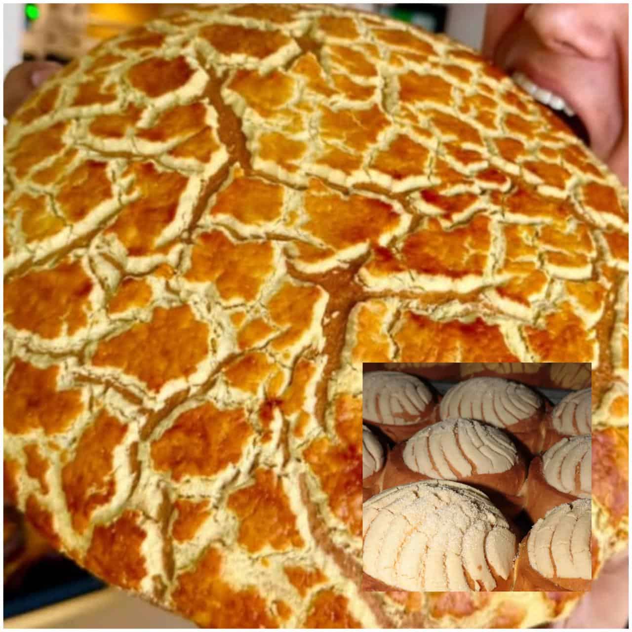 Este pan tiene un costo de $160 pesos.