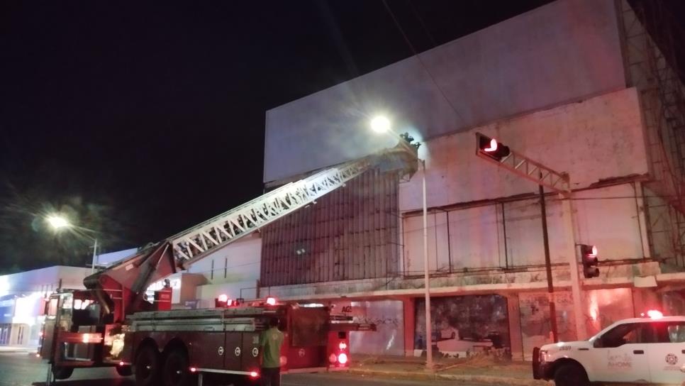 Dueña de antiguo edificio en Los Mochis "La Violeta" ya apareció Dueña de antiguo edificio en Los Mochis "La Violeta" ya apareció