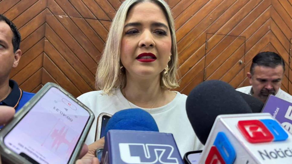Inicia revisión técnica de puentes en Mazatlán para garantizar seguridad urbana Inicia revisión técnica de puentes en Mazatlán para garantizar seguridad urbana