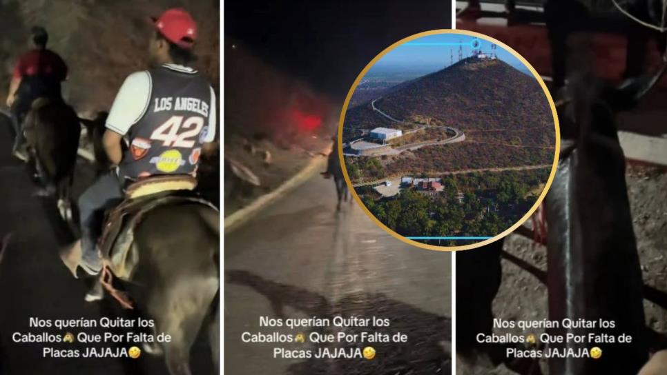 Caballos sí pueden subir al Cerro de la Memoria, confirma alcalde de Ahome Caballos sí pueden subir al Cerro de la Memoria, confirma alcalde de Ahome