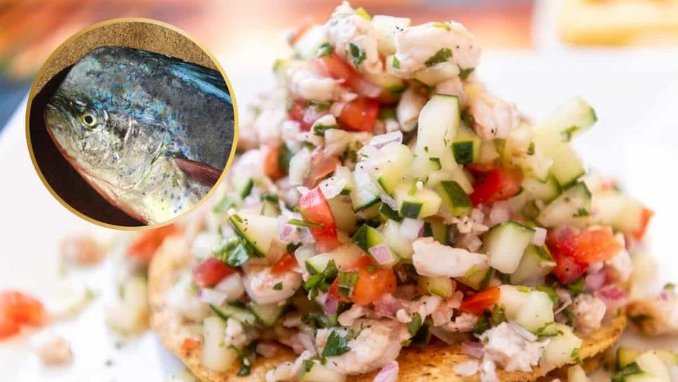 ¿Cuál es el mejor pescado para hacer ceviche en Sinaloa, según la Inteligencia Artificial? ¿Cuál es el mejor pescado para hacer ceviche en Sinaloa, según la Inteligencia Artificial?