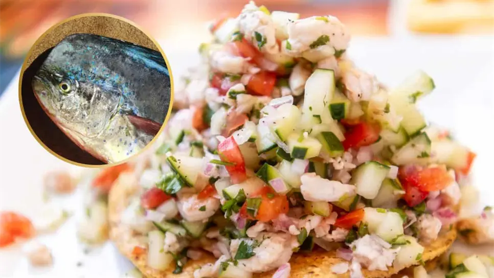 La frescura del pescado es fundamental para un ceviche sinaloense. FOTO: Luz Noticias.