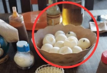 Funcionario de Medio Ambiente en Oaxaca presumía comer huevos de tortuga; lo destituyen