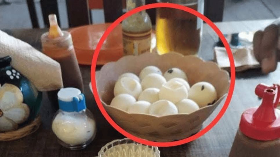 Funcionario de Medio Ambiente en Oaxaca presumía comer huevos de tortuga; lo destituyen Funcionario de Medio Ambiente en Oaxaca presumía comer huevos de tortuga; lo destituyen