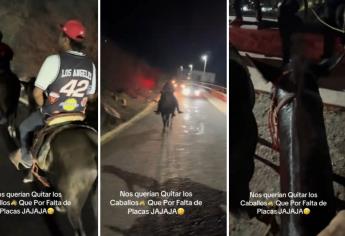 Bajan 5 caballos del Cerro de la Memoria en Los Mochis ¿Por falta de placas? | VIDEO