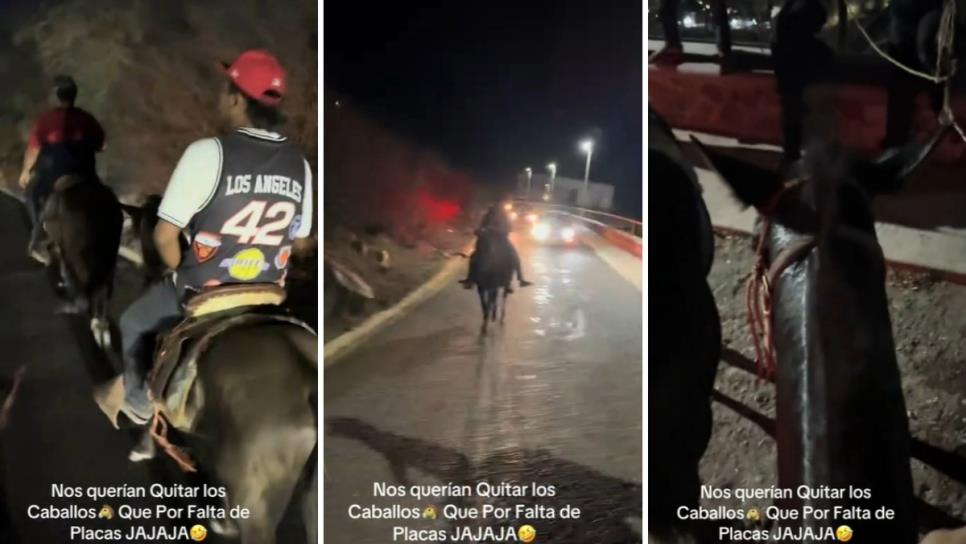 Bajan 5 caballos del Cerro de la Memoria en Los Mochis ¿Por falta de placas? | VIDEO Bajan 5 caballos del Cerro de la Memoria en Los Mochis ¿Por falta de placas? | VIDEO