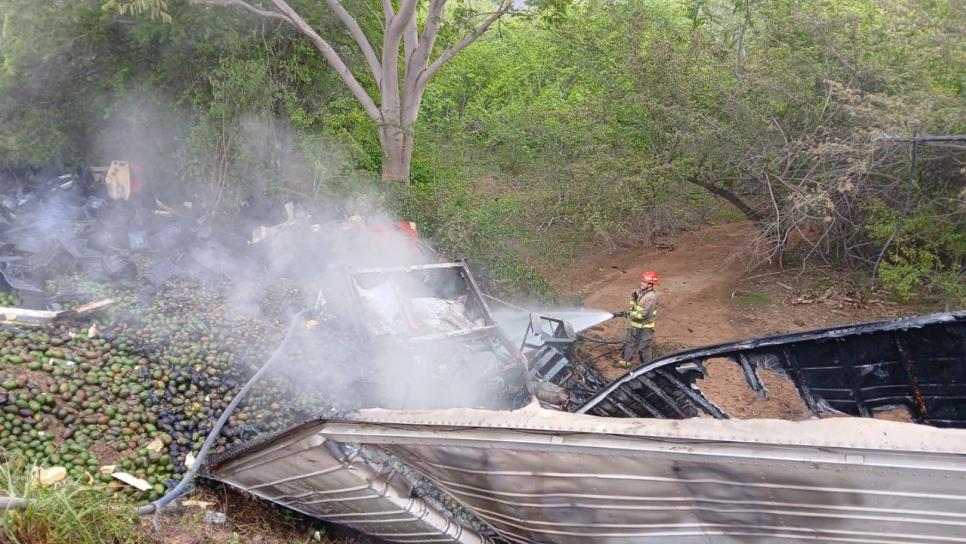 Conductor de tráiler muere tras accidentarse por la autopista Tepic-Mazatlán este domingo Conductor de tráiler muere tras accidentarse por la autopista Tepic-Mazatlán este domingo