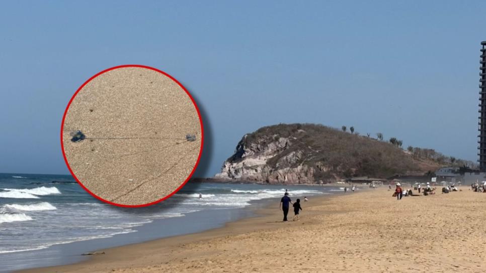 ¿Vas a la playa en Mazatlán este fin de semana? Ten cuidado porque hay quemadores ¿Vas a la playa en Mazatlán este fin de semana? Ten cuidado porque hay quemadores