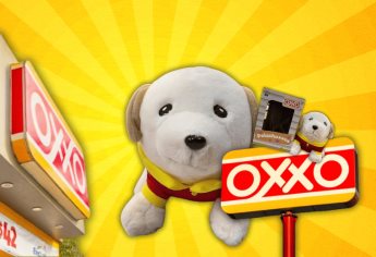 Peluchoxxos del Oxxo: qué son, precios y cómo conseguir la nueva colección de peluches