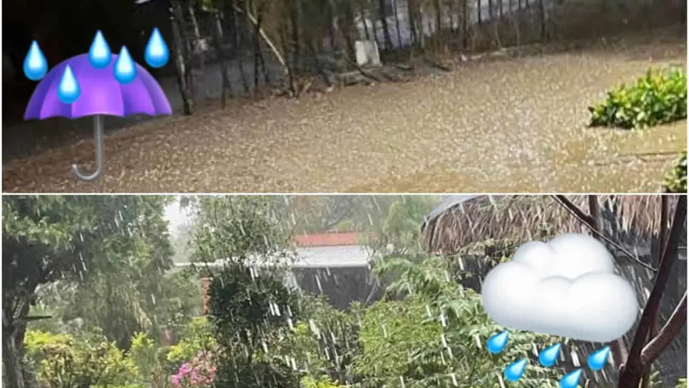 Esperan más lluvias en Choix