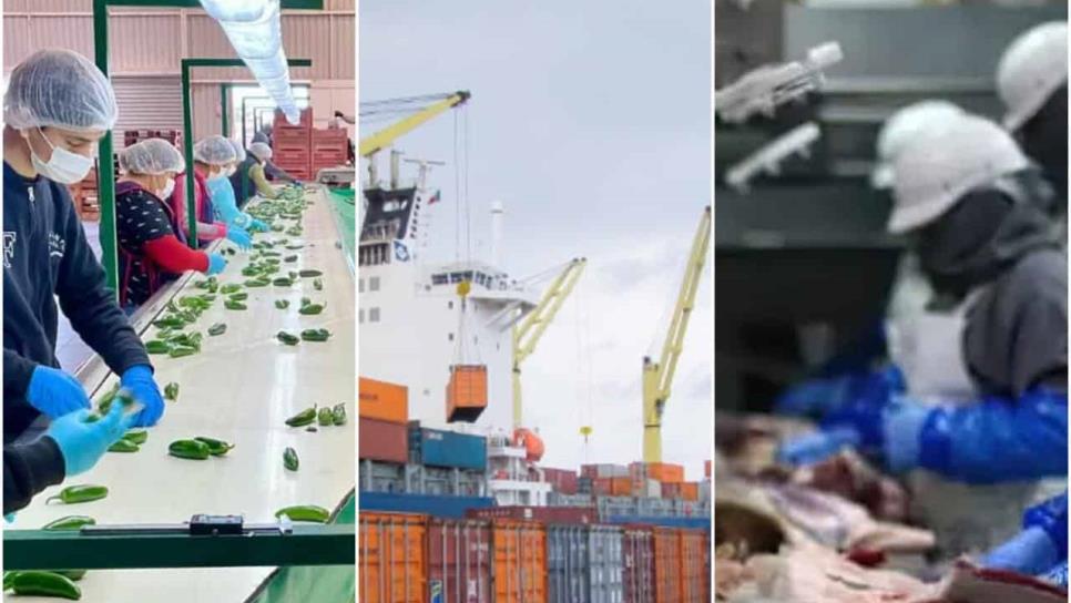 UAS impulsa exportaciones sinaloenses a Singapur como nuevo mercado objetivo