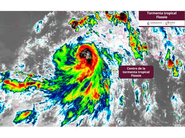 Imagen Placeholder Imagen Placeholder