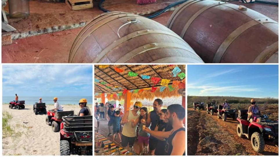 Esto no es Jalisco, es Mazatlán: tour con mezcal, caballos y playa que te va a sorprender Esto no es Jalisco, es Mazatlán: tour con mezcal, caballos y playa que te va a sorprender