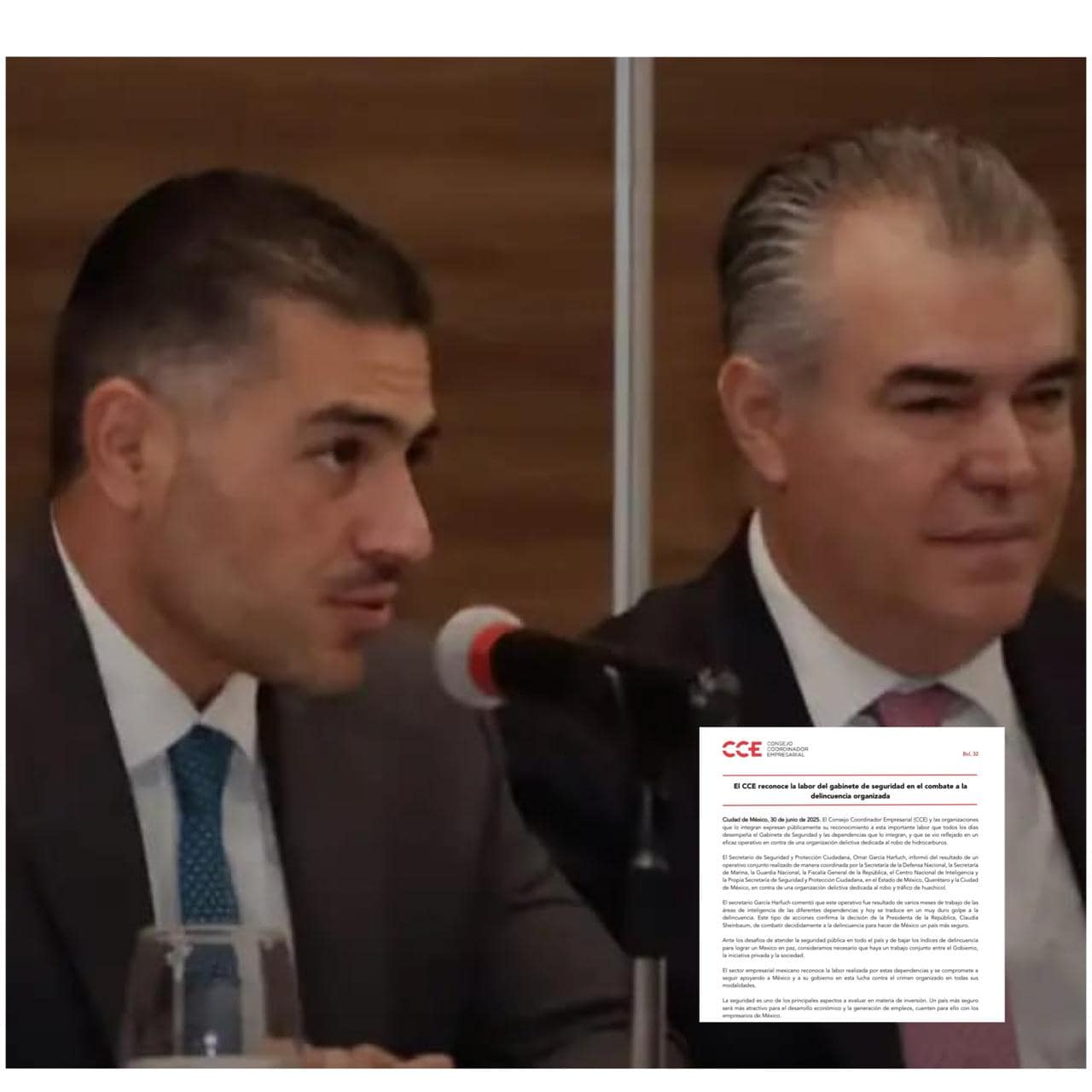 Combate a la delincuencia organizada