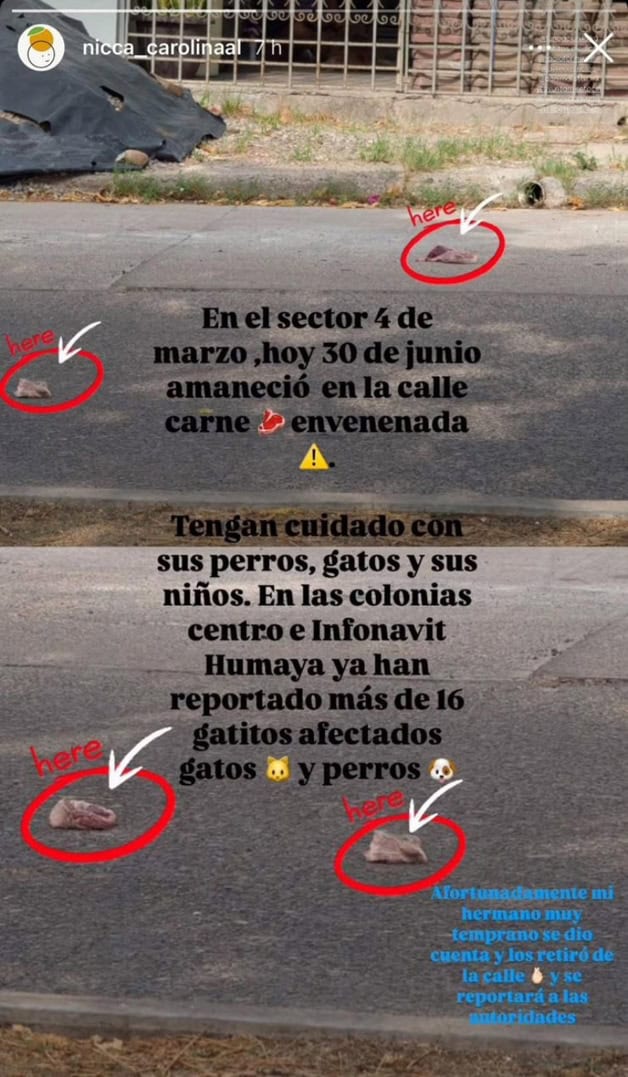Imagen Placeholder Imagen Placeholder
