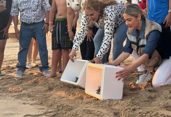 Tortugas Marinas en Mazatlán: Arranca el Operativo Nocturno 2025 para proteger a esta especie