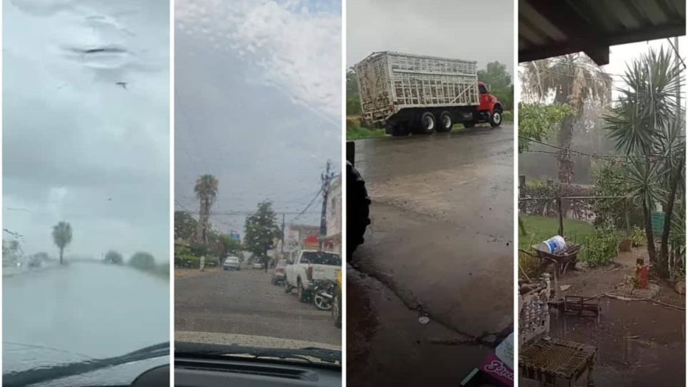 ¡No que no llovía en Los Mochis! Por fin caen las primeras lluvias en la ciudad cañera ¡No que no llovía en Los Mochis! Por fin caen las primeras lluvias en la ciudad cañera