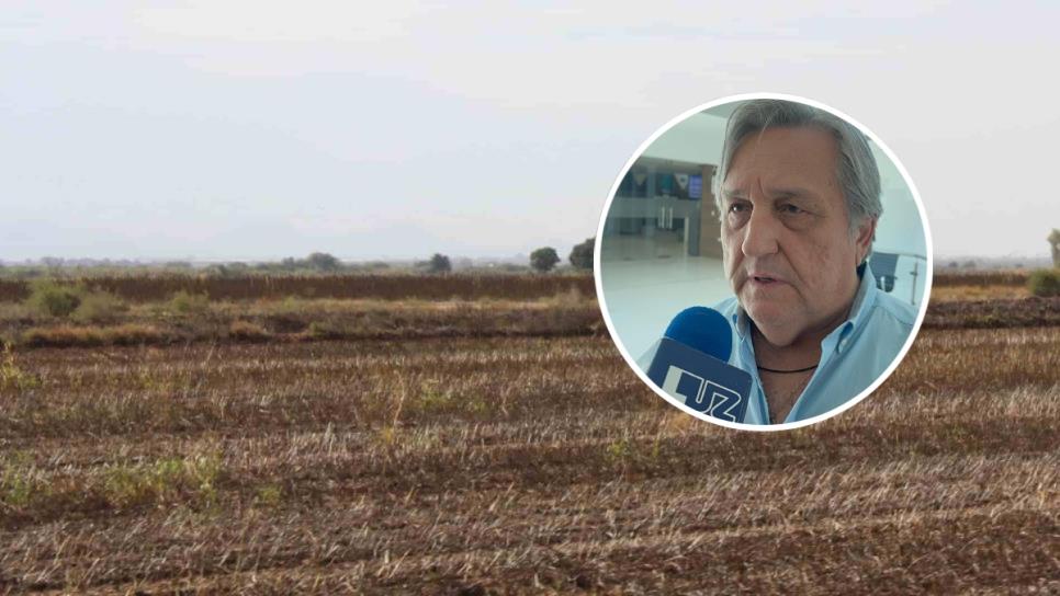 Fundación Produce Sinaloa investiga semillas resistentes a la sequía Fundación Produce Sinaloa investiga semillas resistentes a la sequía