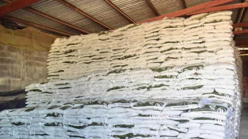 Se entregan fertilizantes a 400 productores cañeros de Sinaloa Se entregan fertilizantes a 400 productores cañeros de Sinaloa