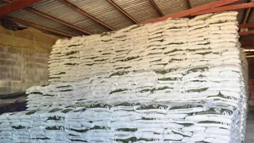 Los productores se vieron beneficiados con fertilizante para el próximo ciclo. (FOTO: Temática).