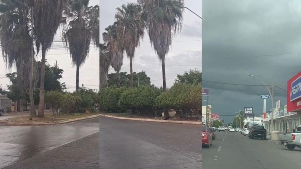 ¡Por fin llueve en Los Mochis! Se registran las primeras lluvias generalizadas tras intensa sequía ¡Por fin llueve en Los Mochis! Se registran las primeras lluvias generalizadas tras intensa sequía