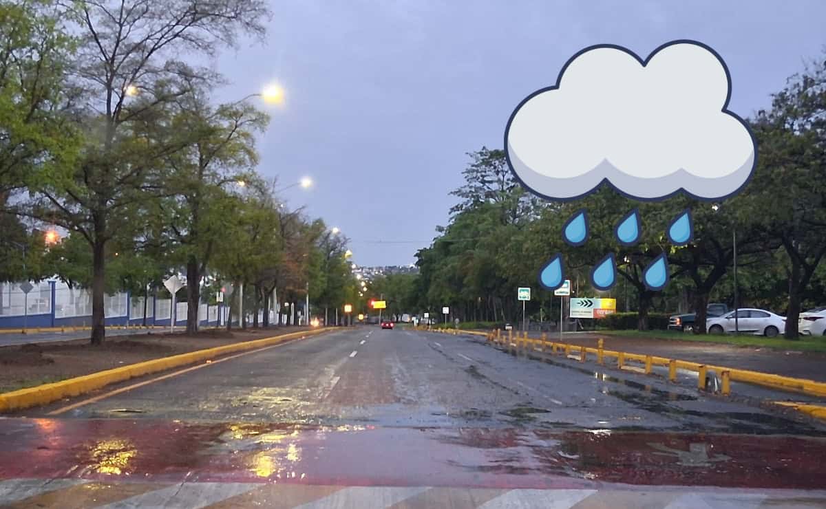Imagen Placeholder Imagen Placeholder