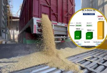 México importa el 51% del maíz que consume en 2025 ¿Dónde quedó la soberanía alimentaria?