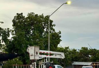 “Mazatlán Brilla”: instalan más de 150 luminarias en la ciudad
