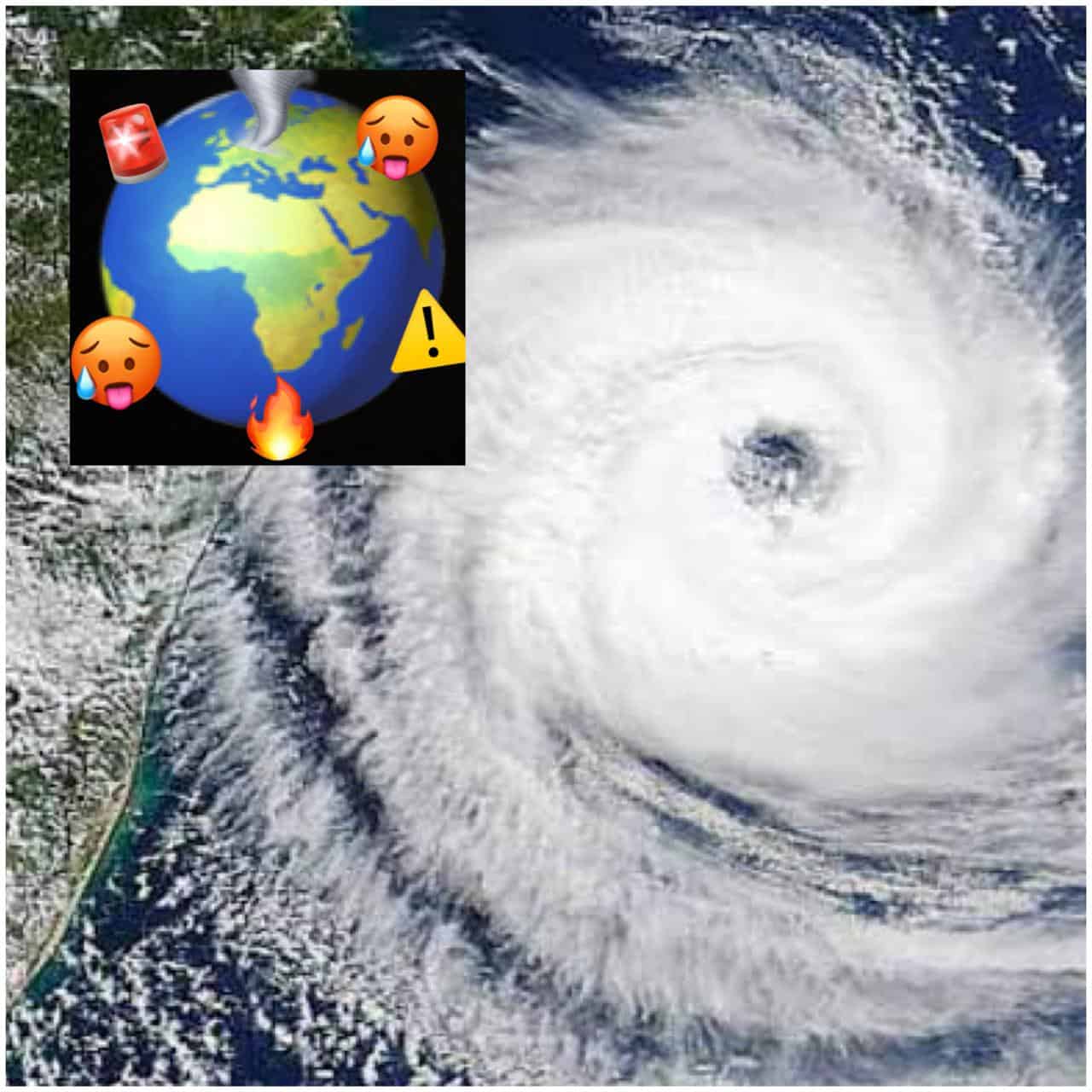 Imagen Placeholder Imagen Placeholder