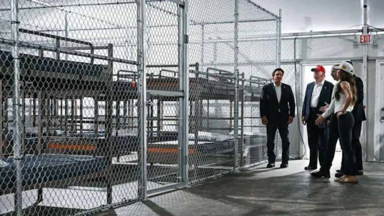 Alaska sugiere una Bear Alcatraz para migrantes indocumentados: No hay caimanes, pero sí osos
