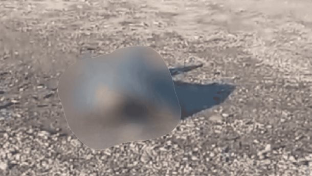 Nota Relacionada de Policiaca