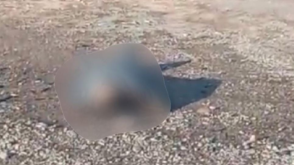 Localizan hombre sin vida en el kilómetro 37 de la autopista Mazatlán-Culiacán Localizan hombre sin vida en el kilómetro 37 de la autopista Mazatlán-Culiacán