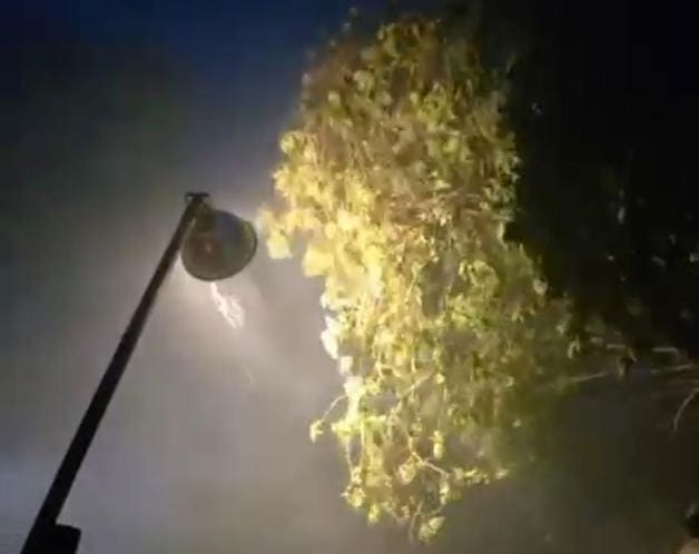 Imagen Placeholder Imagen Placeholder