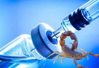 El veneno de este escorpión podría ayudar en el combate del cáncer de mama