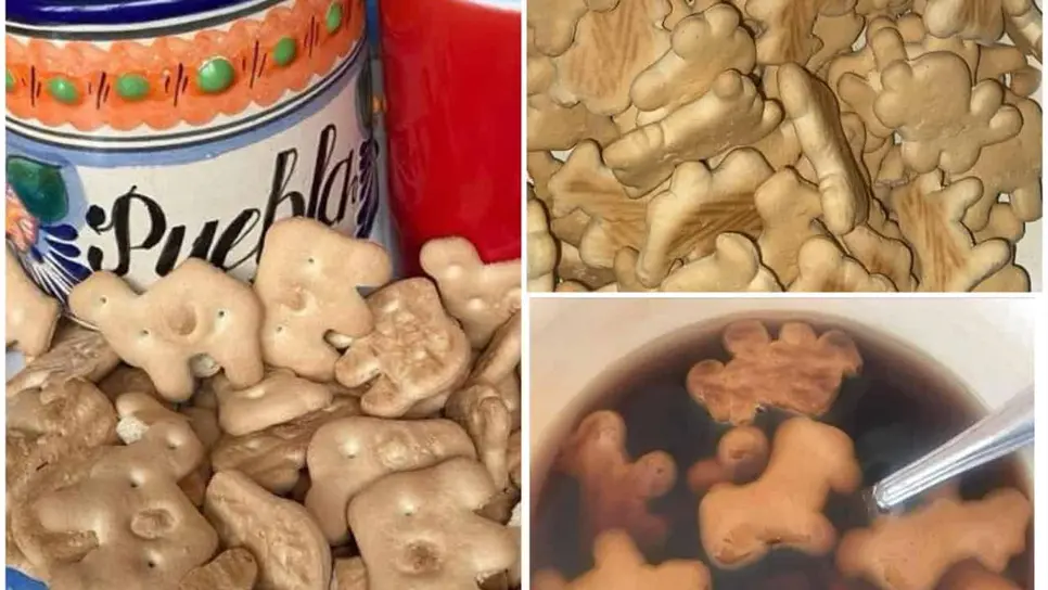 ¿Te gusta mucho comer estas galletas? Aquí te decimos que tan saludables son