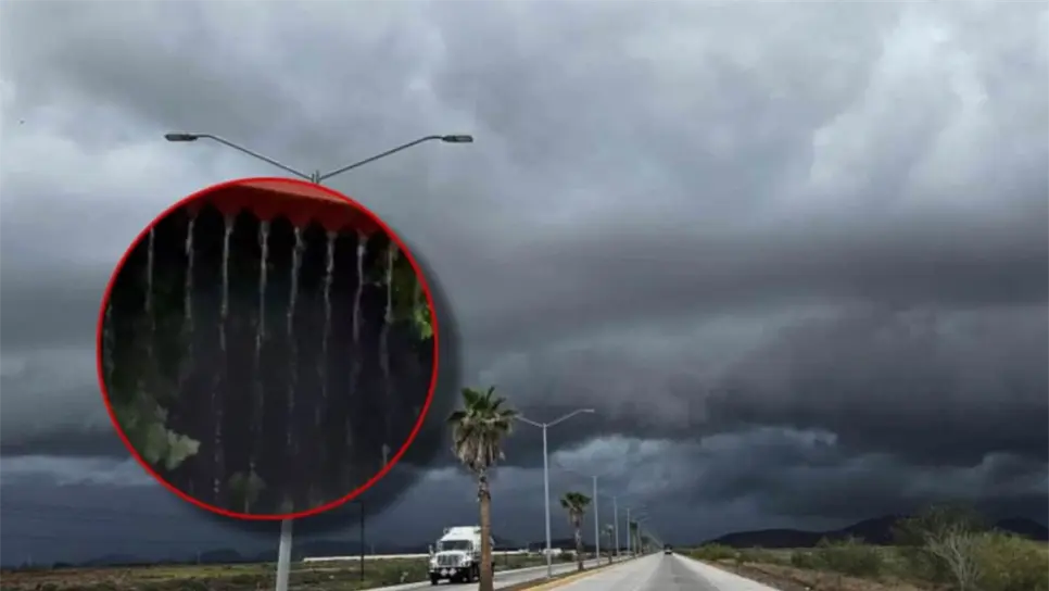 Lluvias en Sinaloa superan los 90 mm en el norte y centro: ¿Cuál es el pronóstico?