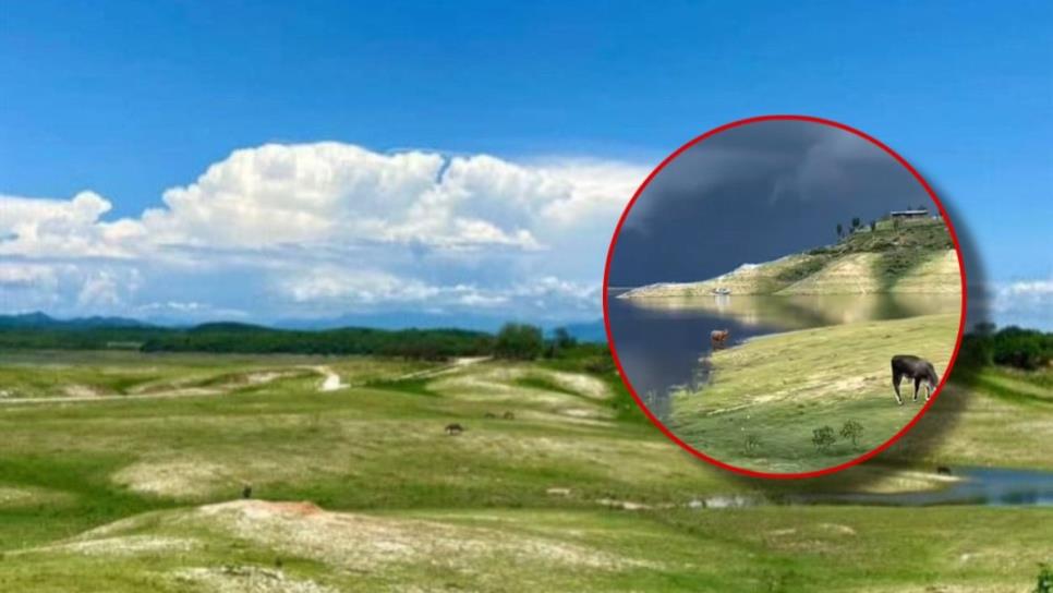 ¿Recuerdas Narnia en Culiacán? Así luce después de un descanso de turistas | VIDEO ¿Recuerdas Narnia en Culiacán? Así luce después de un descanso de turistas | VIDEO
