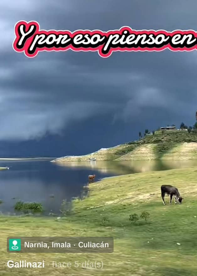 Imagen Placeholder Imagen Placeholder