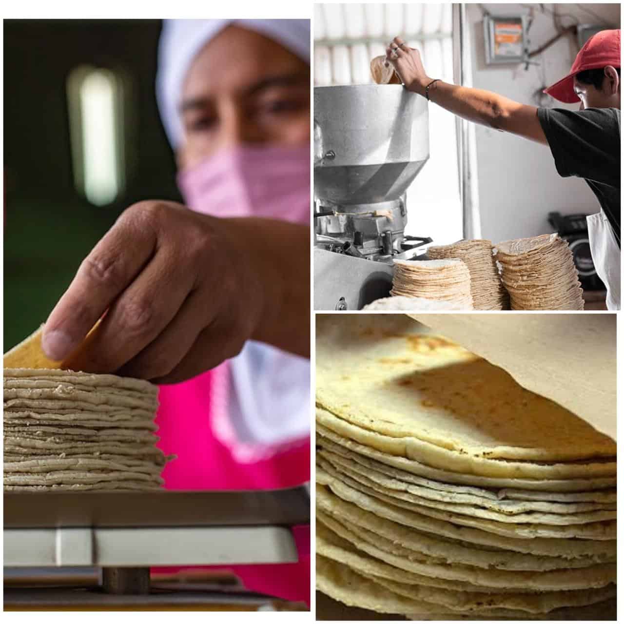 Productores de Sinaloa denuncian amenaza a la tortilla por ingreso de transnacional