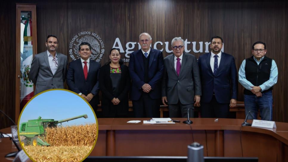 Grupo MASECA comprará 200 mil toneladas de maíz blanco en Sinaloa Grupo MASECA comprará 200 mil toneladas de maíz blanco en Sinaloa
