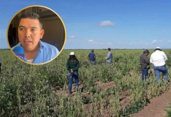 Choix reactiva su economía agrícola con las lluvias