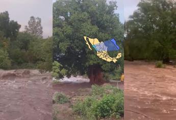 Lluvias le dan vida a El Tapo y renace el río Petatlán en Sinaloa de Leyva | VIDEO