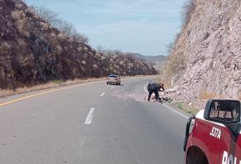Reportaron derrumbe en los cerros de Barobampo; eran sólo unas paladas de tierra 