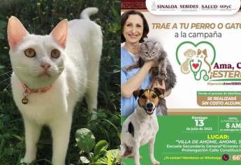 Campaña de esterilización de mascotas en la Villa de Ahome y será gratis