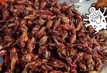 Chapulines fritos: ¿Qué tan saludables son y cómo se comen?