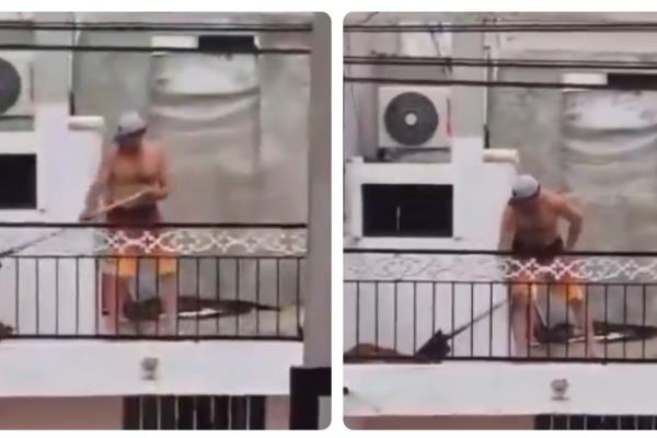 Agreden a palazos a un perro en una casa del sector Misiones, en Mazatlán